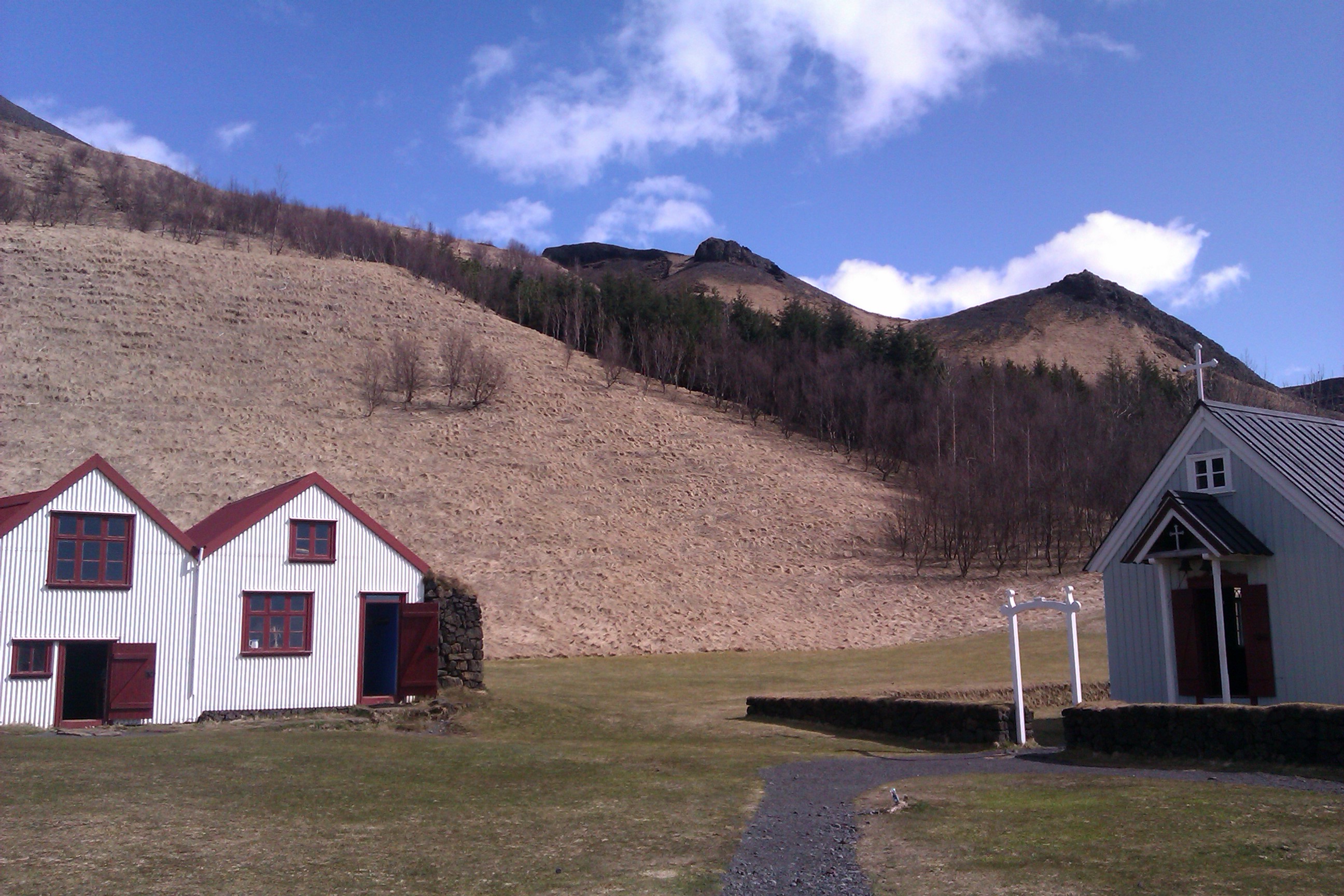 Skógar