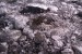 Led na zemi u Skógafoss